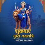 Shukrawar Gupt Navratri Special Bhajans - Anuradha Paudwal Song Download